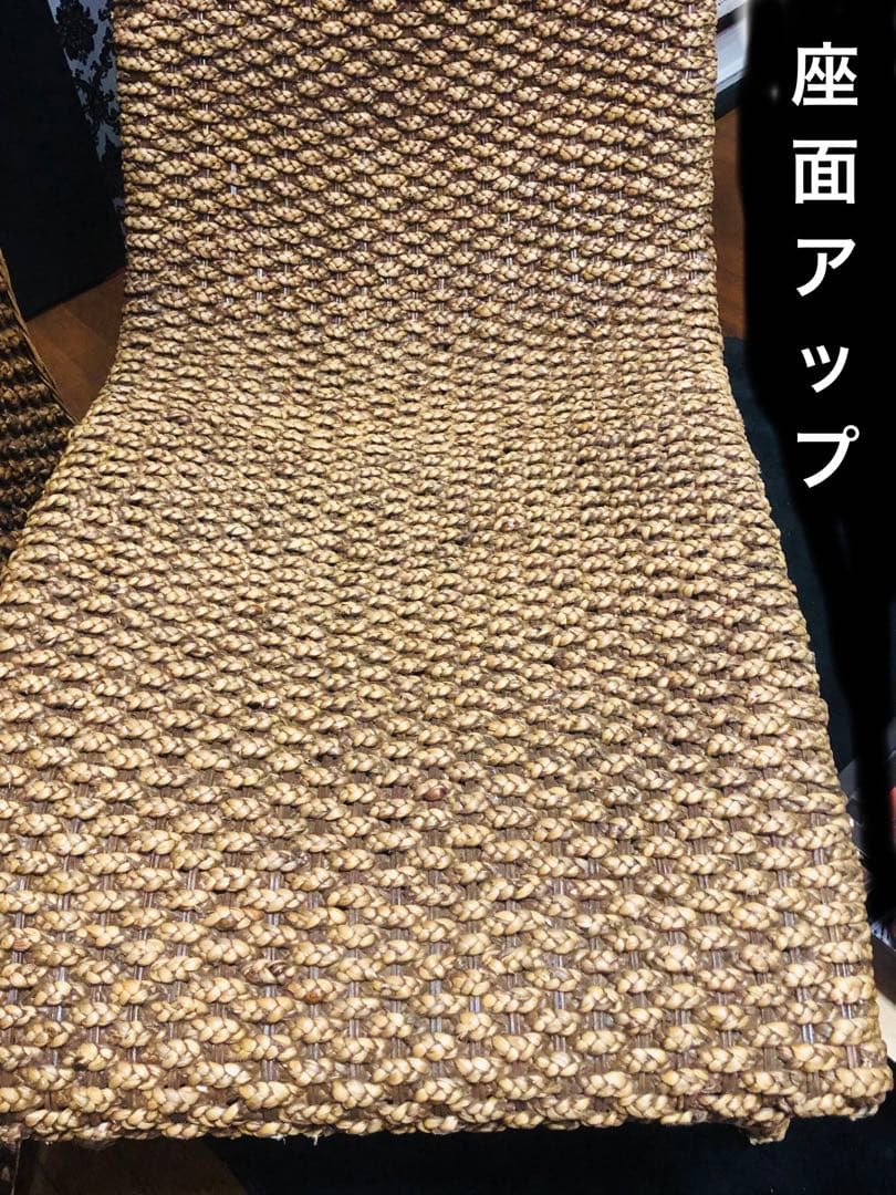 超稀少♦️ウォーターヒヤシンス♦️最高級リゾート　サンベット♦️シェーズロング♦️送料込