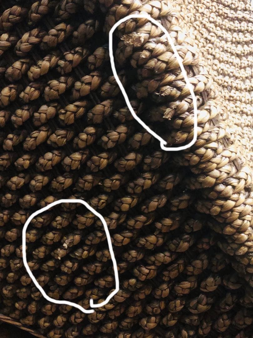 超稀少♦️ウォーターヒヤシンス♦️最高級リゾート　サンベット♦️シェーズロング♦️送料込