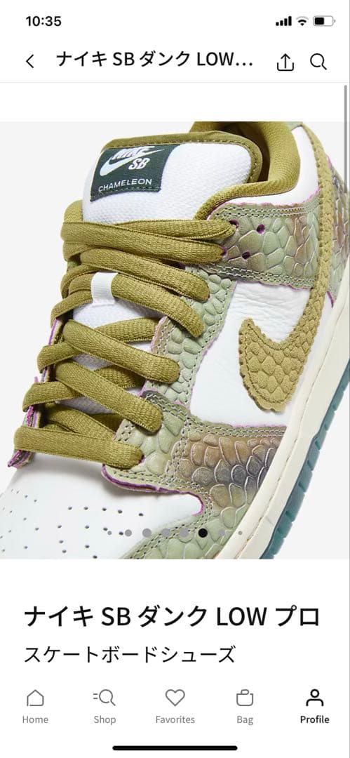 値下げ！ナイキ SB ダンク LOW プロ 23.0 限定コラボ