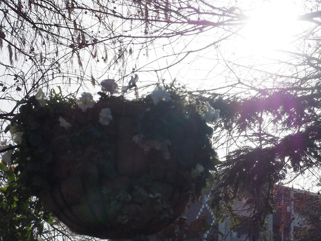 オリンパス PL7 ミラーレス一眼