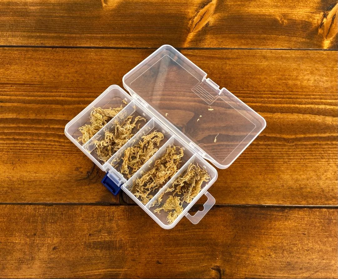 クワガタ採集セット　蛍光ピンク　オリジナル掻き出し棒　デジタルノギス　採集ケース