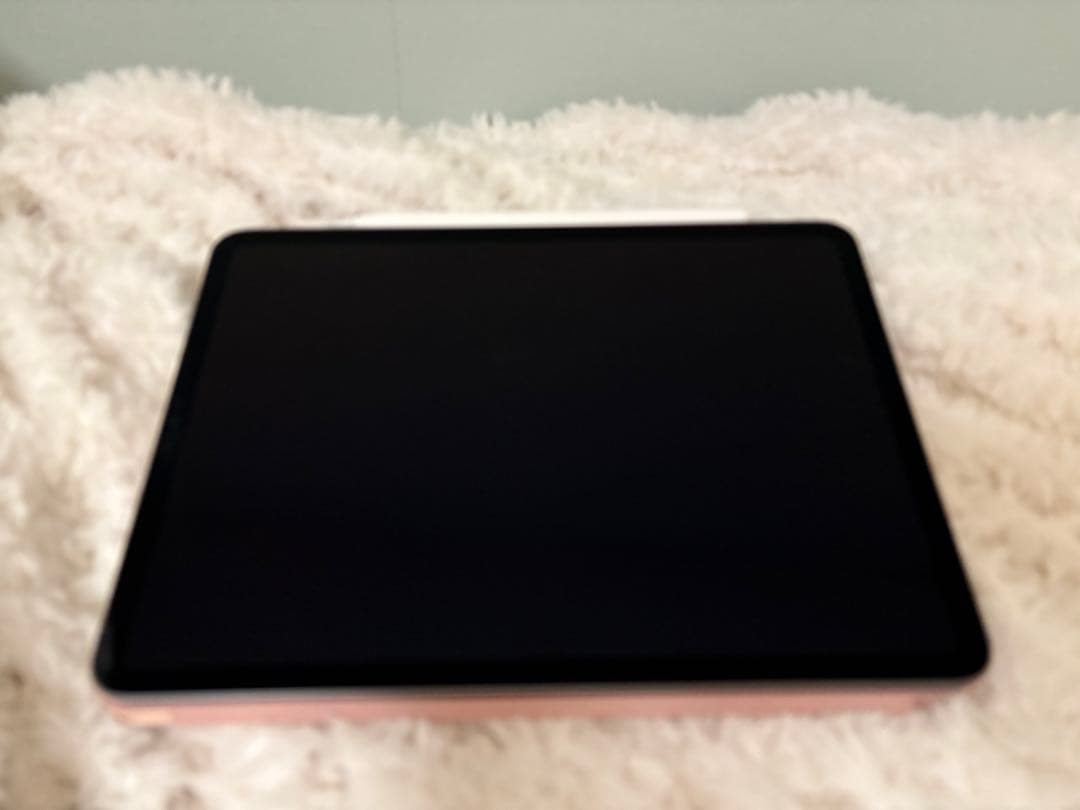 iPadPro11インチ(第3世代)256GB +ApplePencil