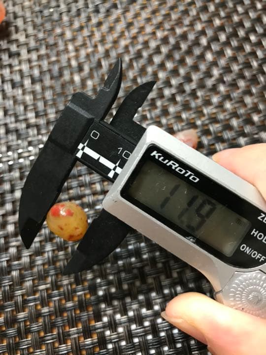 ゴビ石−574 ゴビ瑪瑙　原石　地表　血脈