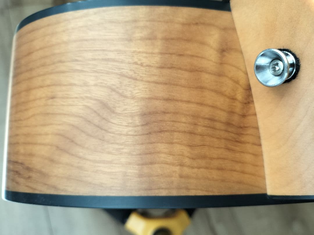 ひじきページ☆ブリードラブBreedlove Oregon