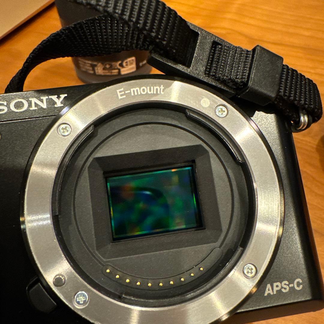 か*ん様 SONY α6000 ILCE-6000Y ダブルズームレンズキット