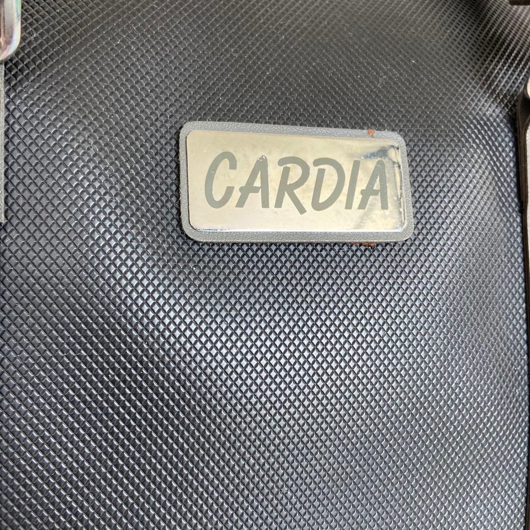 フジ　FUJI CARDIA カメラバッグ　バッグ　ノベルティ　昭和　カメラ