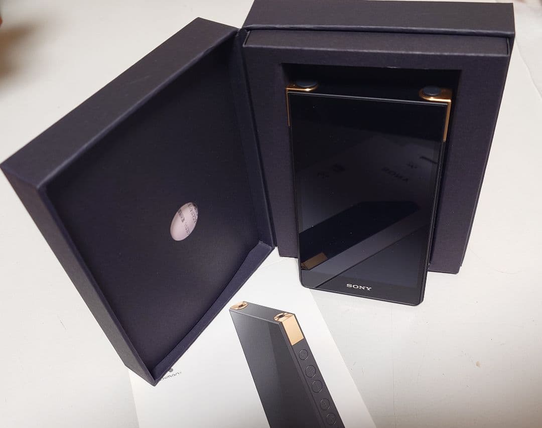 SONY NW-ZX707 WALKMAN 専用純正ケースセット