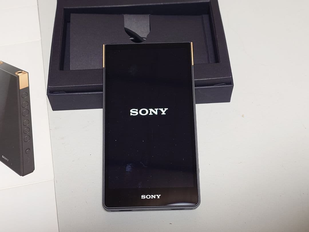 SONY NW-ZX707 WALKMAN 専用純正ケースセット