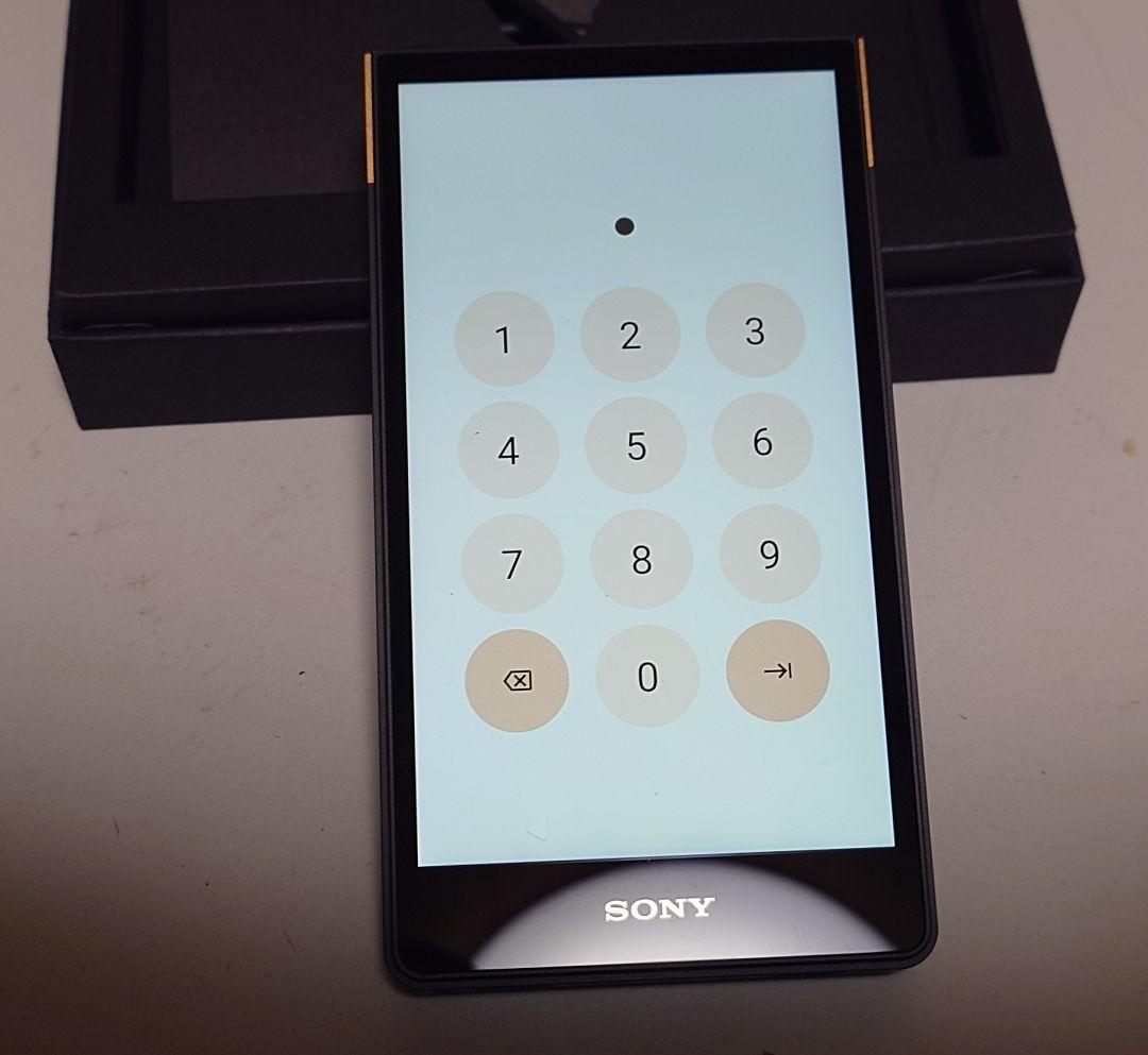 SONY NW-ZX707 WALKMAN 専用純正ケースセット