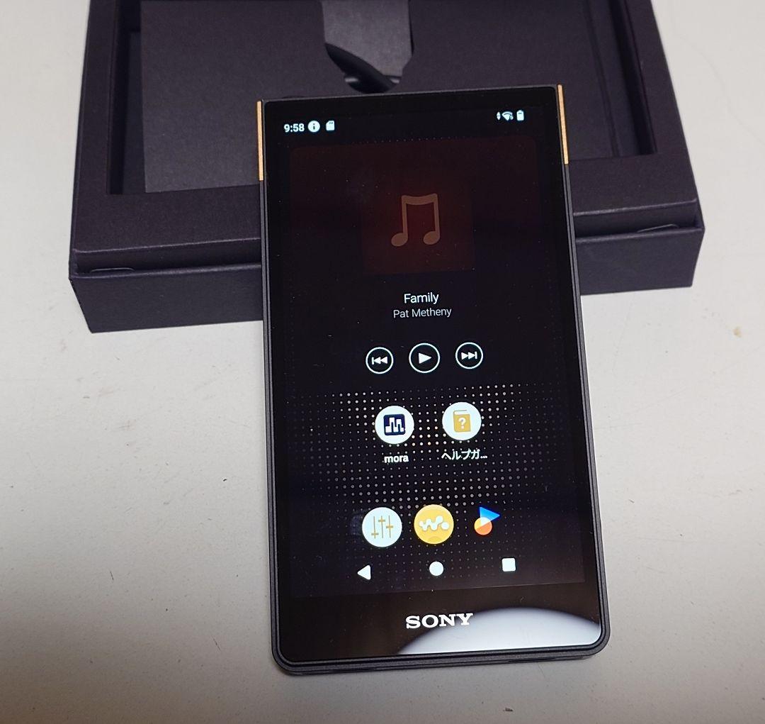SONY NW-ZX707 WALKMAN 専用純正ケースセット