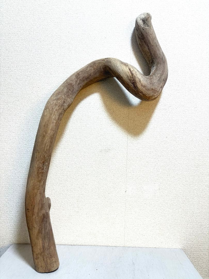 Ｇ79 灰汁抜き処理済　流木　爬虫類　両生類シェルター　観葉植物　インテリア