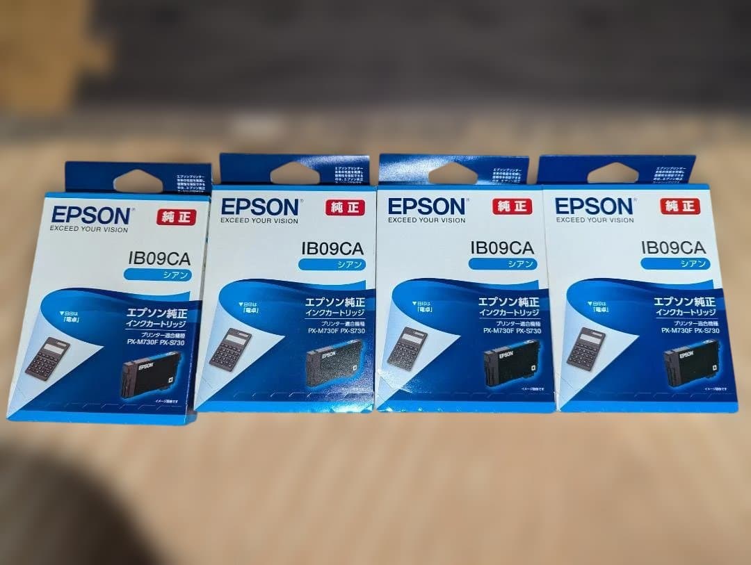 EPSON インクカートリッジ IB09CA IB09MA セット