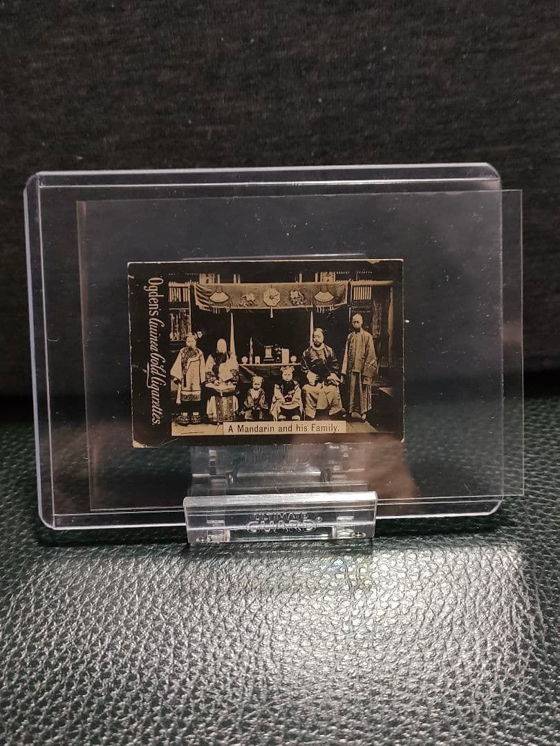 【専用出品】よちやん 様 Guinea Gold