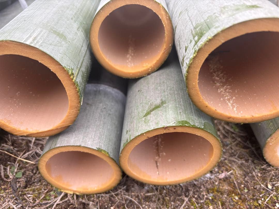 竹　門松エディブルフラワー　飾り葉