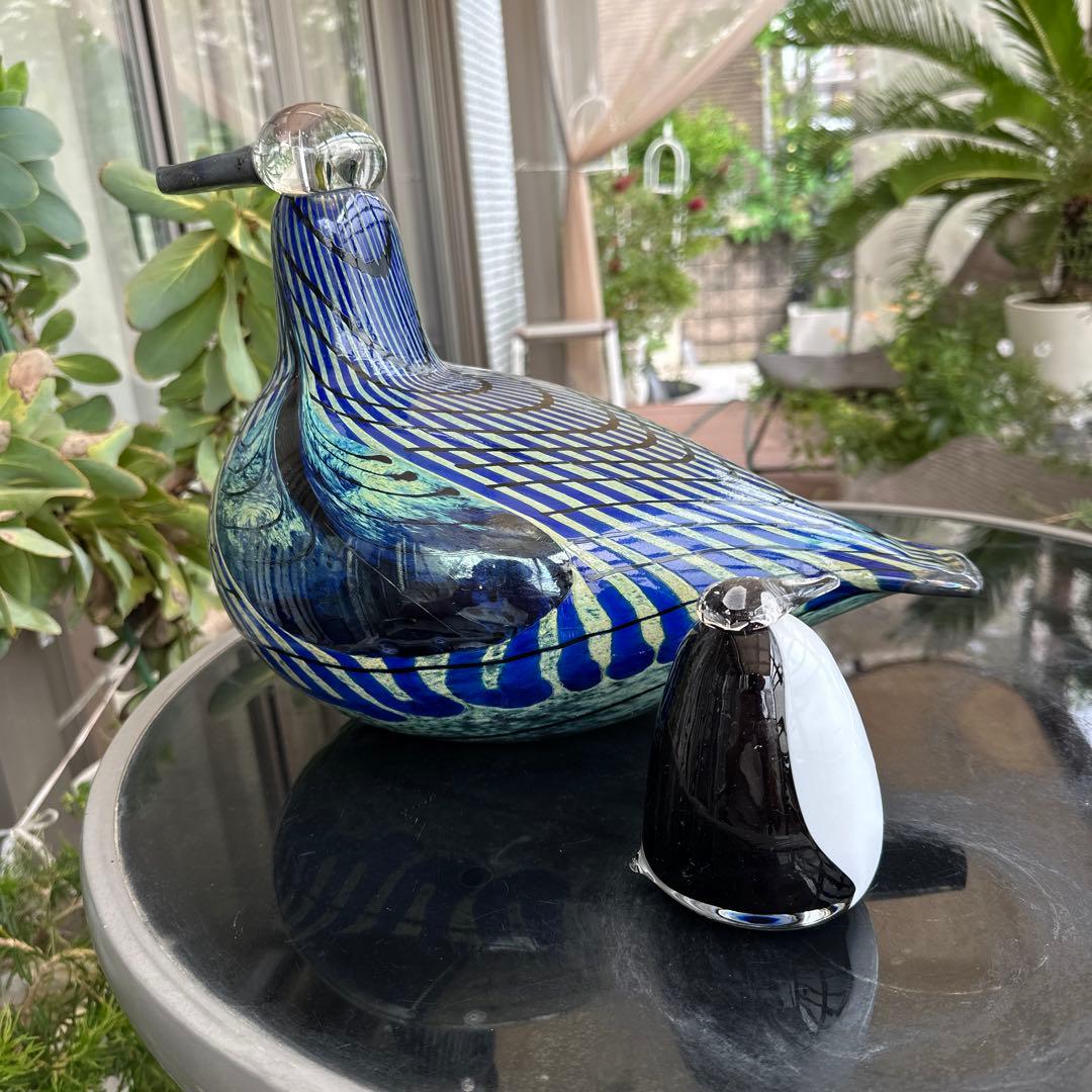 オイバトイッカ　ヌータヤルヴィVILLIHANHI WILD 