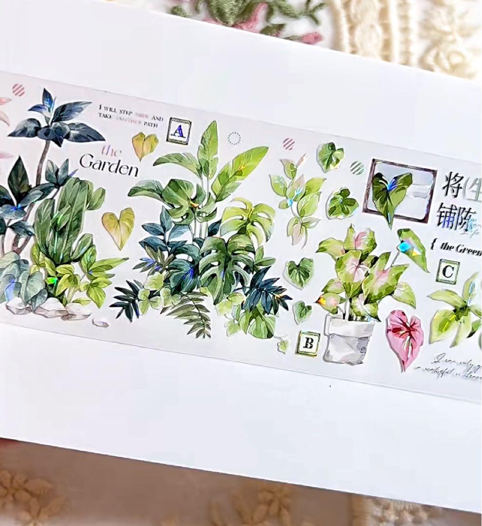 【9467】海外　マステ　3/5/巻　貝殻光マスキングテープ　植物　緑　装飾系