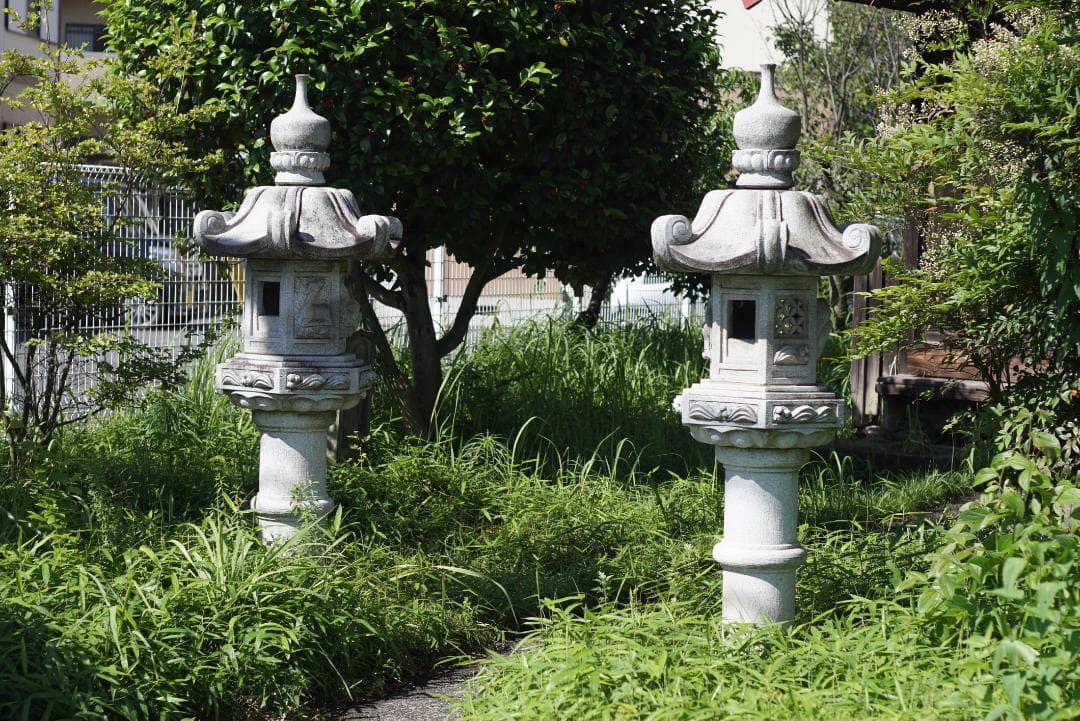 オリンパス OM-1 OM-SYSTEM F.ZUIKO 50mm F1.8