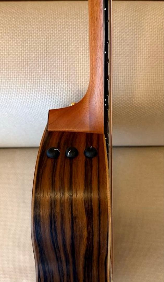 テイラー50周年GS Mini-e Rosewood SB LTD ES2搭載