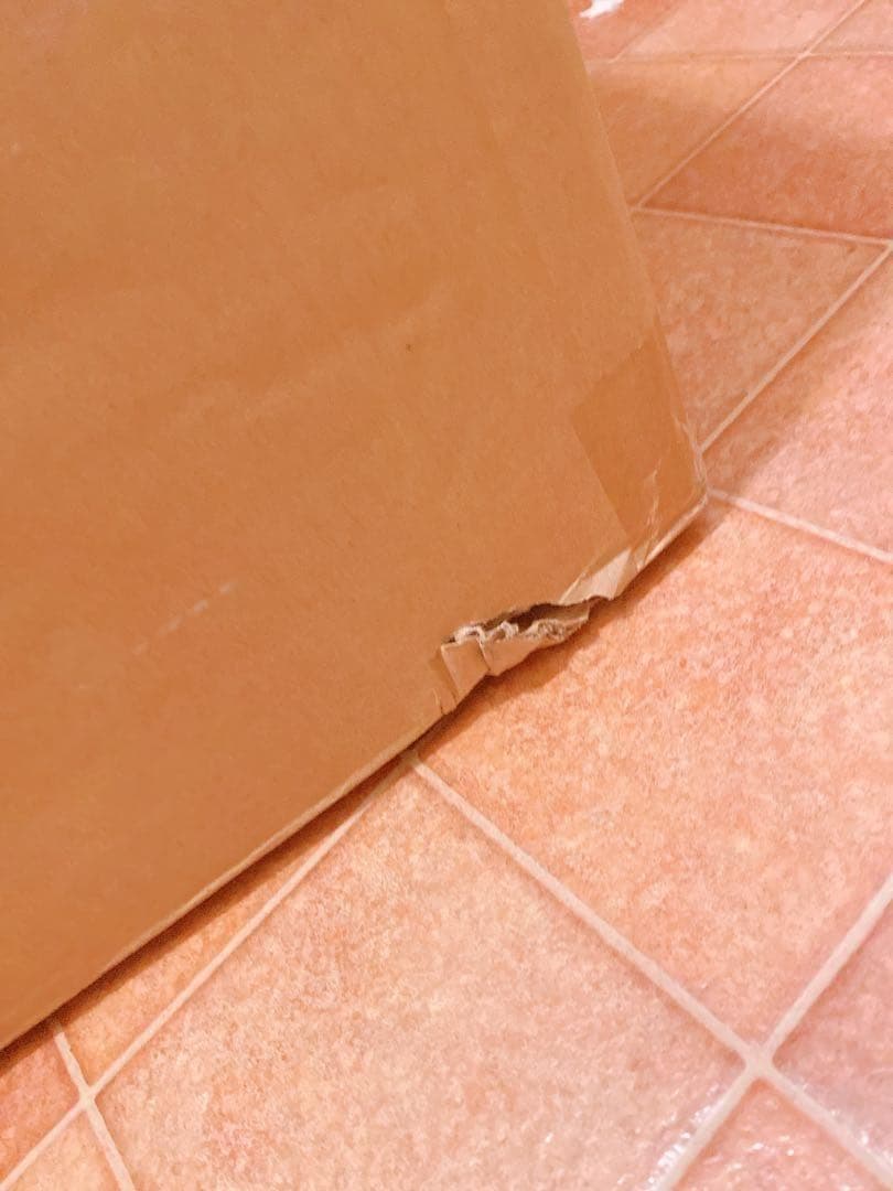 静音設計❣ マイナスイオン ドライヤーハウス 新作 ペット 犬 猫 1562