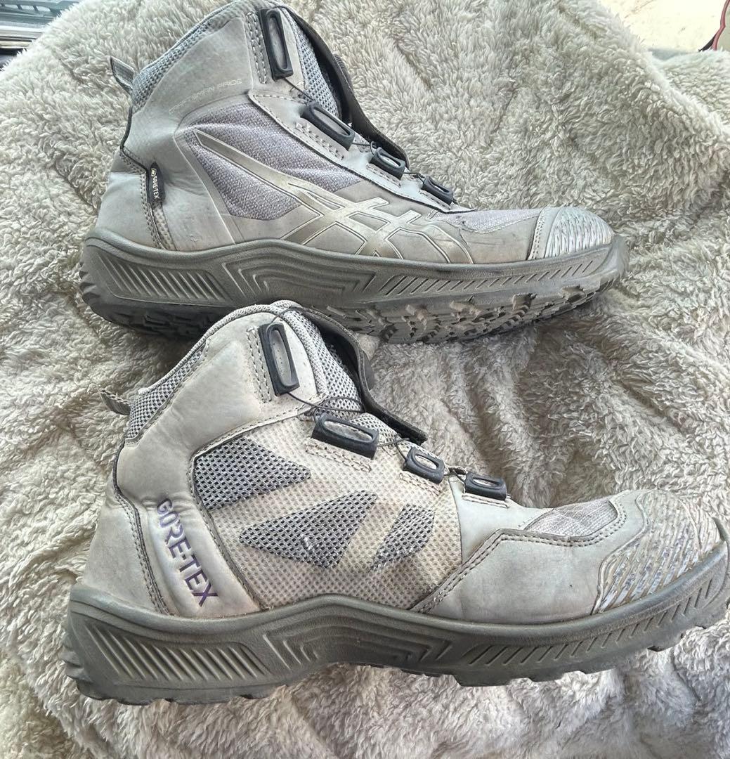 オンラインショップ限定色　完売品CP604 GORE-TEX BOA安全靴
