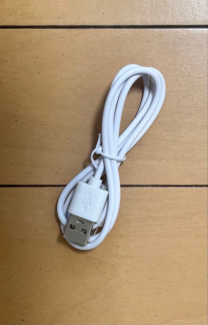 SALAS 充電式オゾン除菌消臭器　SA-4 日本製