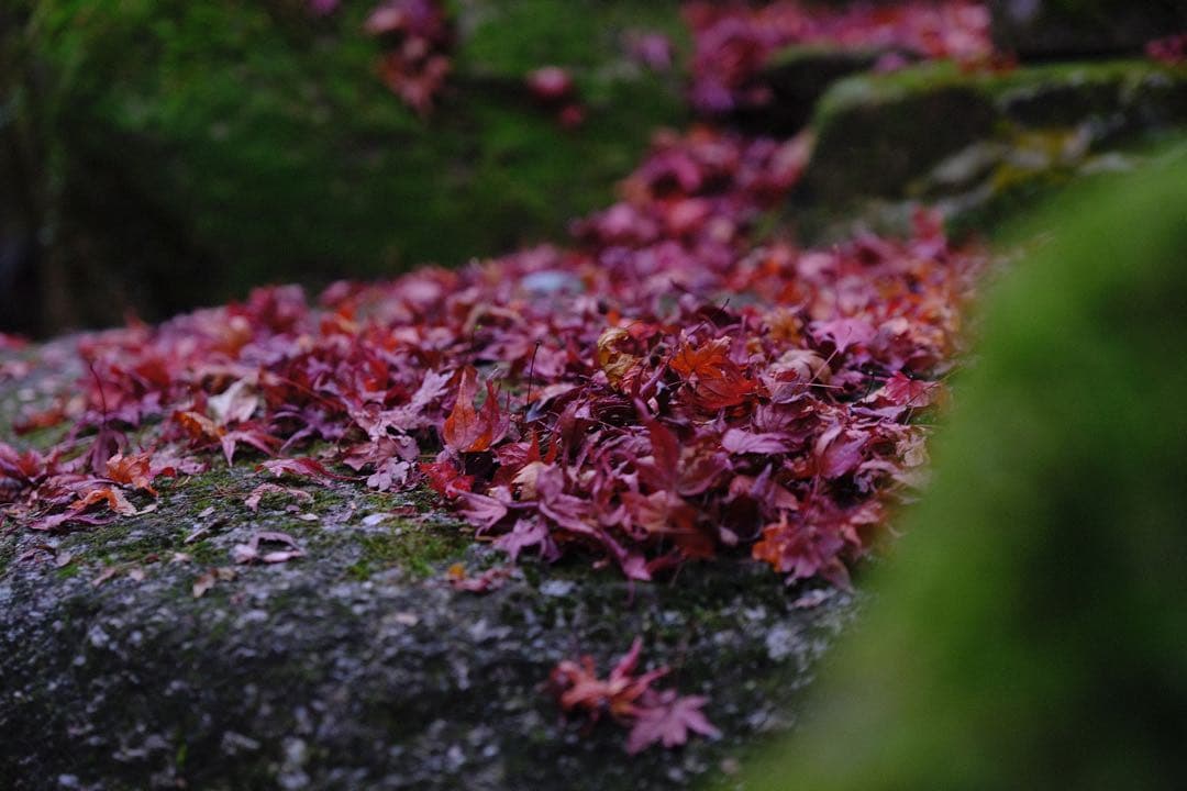 FUJIFILM XF23mmF1.4Rレンズ