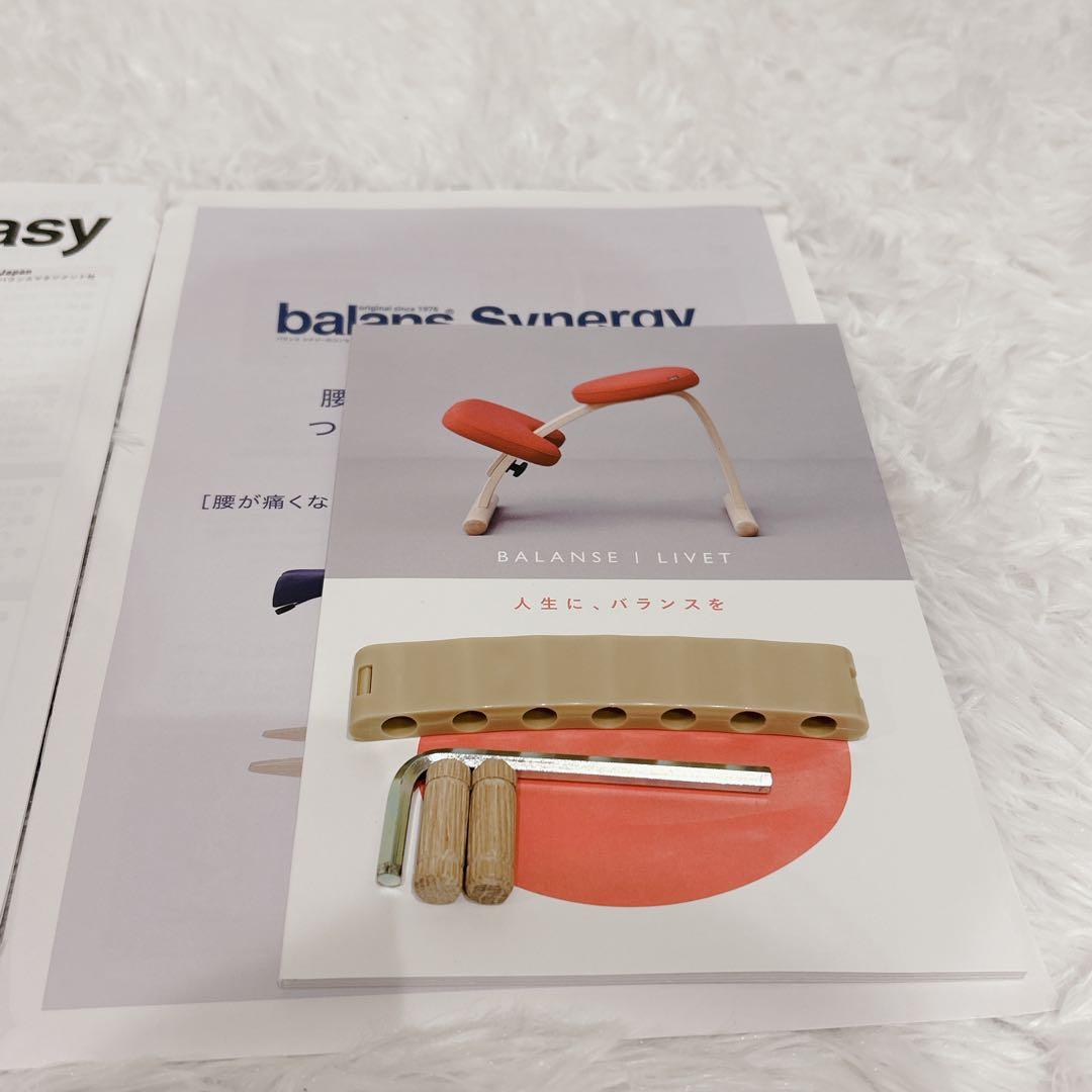 【美品】サカモトハウス バランスチェア バランスイージー 専用カバー付 リボ社