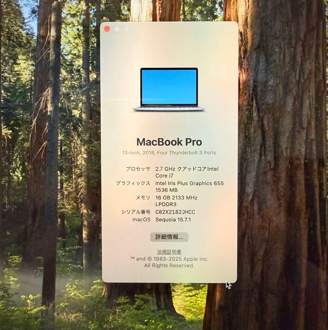 MacBook Pro13 2018/ Core i7 1TB 16GB 高性能