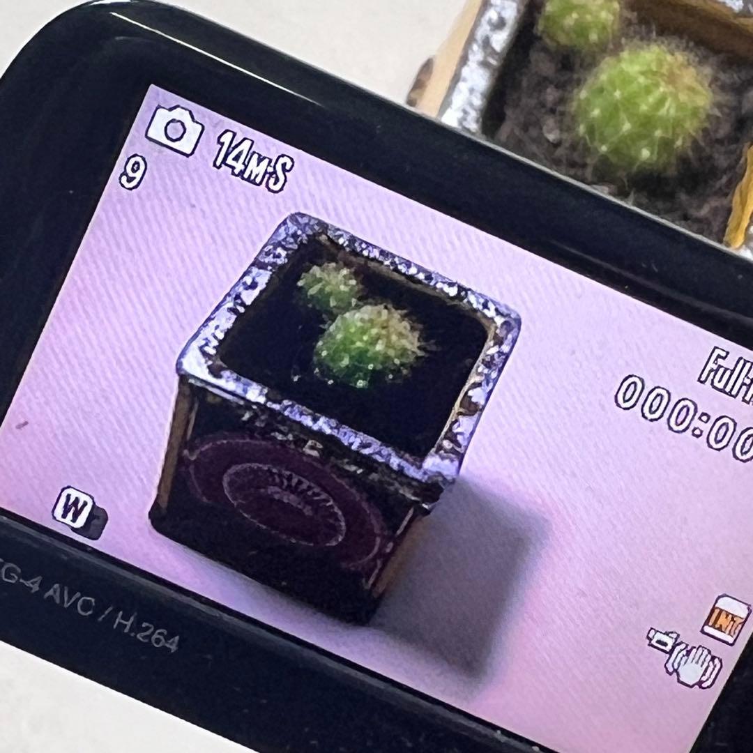 D*在様 SANYO サンヨー Xacti DMX-GH1 デジタルムービーカメ