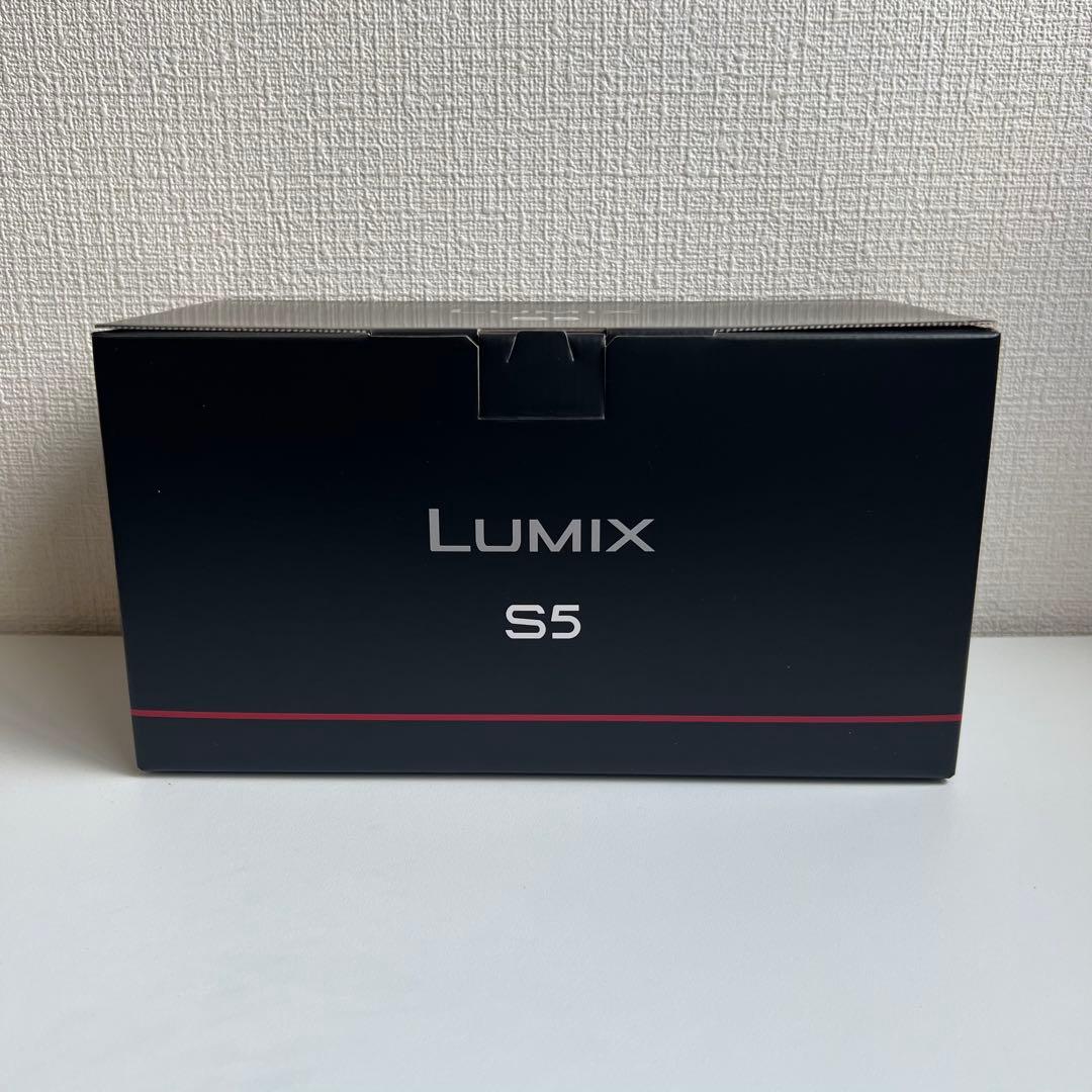 【現状品】Panasonic LUMIX DC-S5 ボディ（電源入らず）