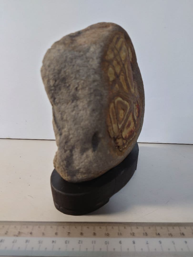 重信川馬蹄石　抽象画　水石 鑑賞石