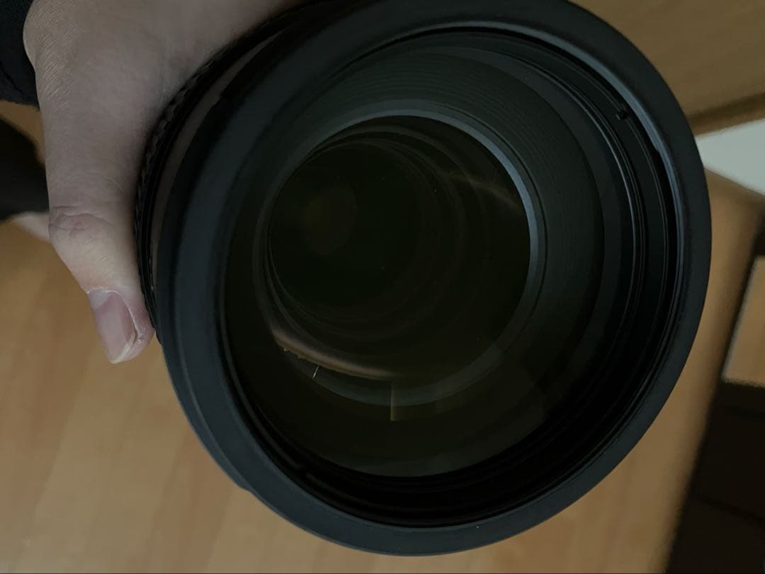 ニコン AF-S Nikkor 80-400mm F4.5-5.6 G ED