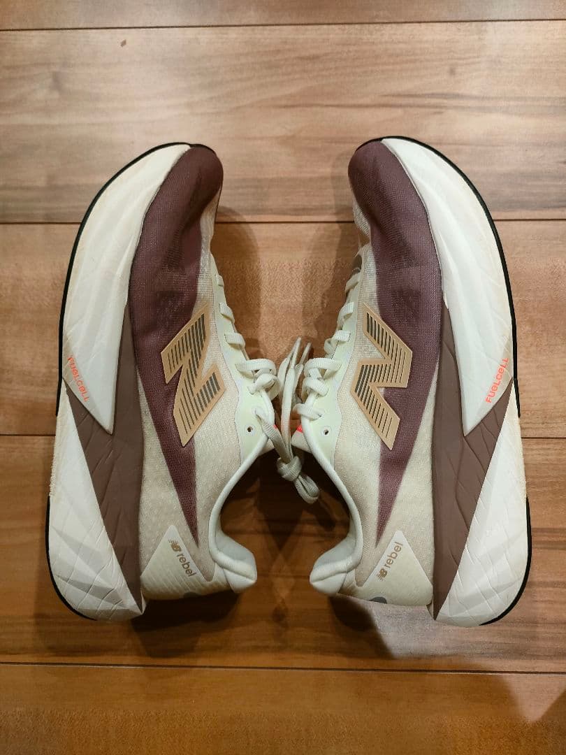 【値下げ中】フューエルセル レベル v5