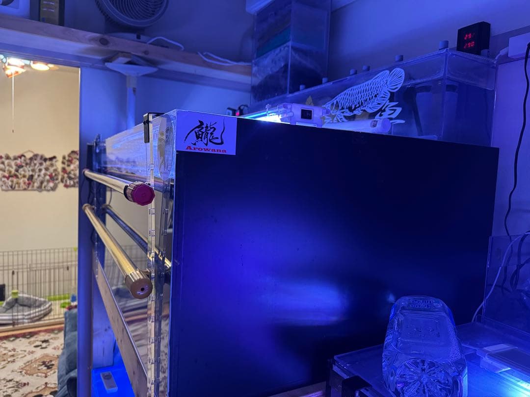 大型アクリル水槽 LEDライト付き