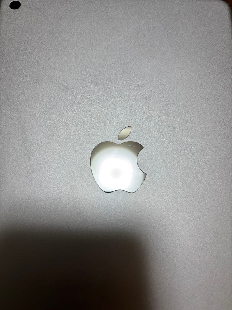 iPad mini 4 Wi-Fi 128GB シルバー 純正ケーブル付