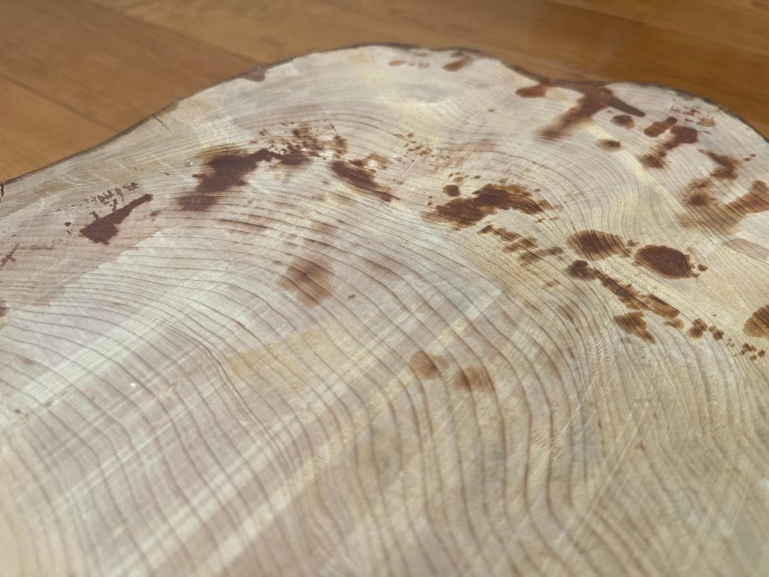 【天然一枚板】飾り台 盆栽台 花瓶台 座卓 大型【光沢仕上げ】