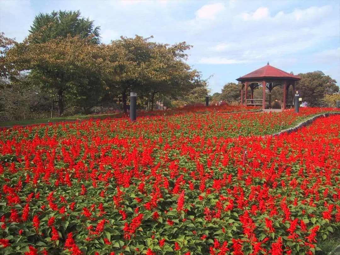 Canon IXY DIGITAL（初代）