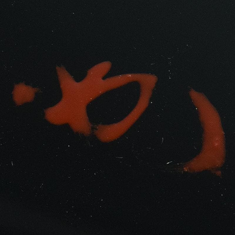 専用　浜木松峰　朱塗銀タガ　手桶水指　堀内宗完(兼中斎)極め箱　VR8538H