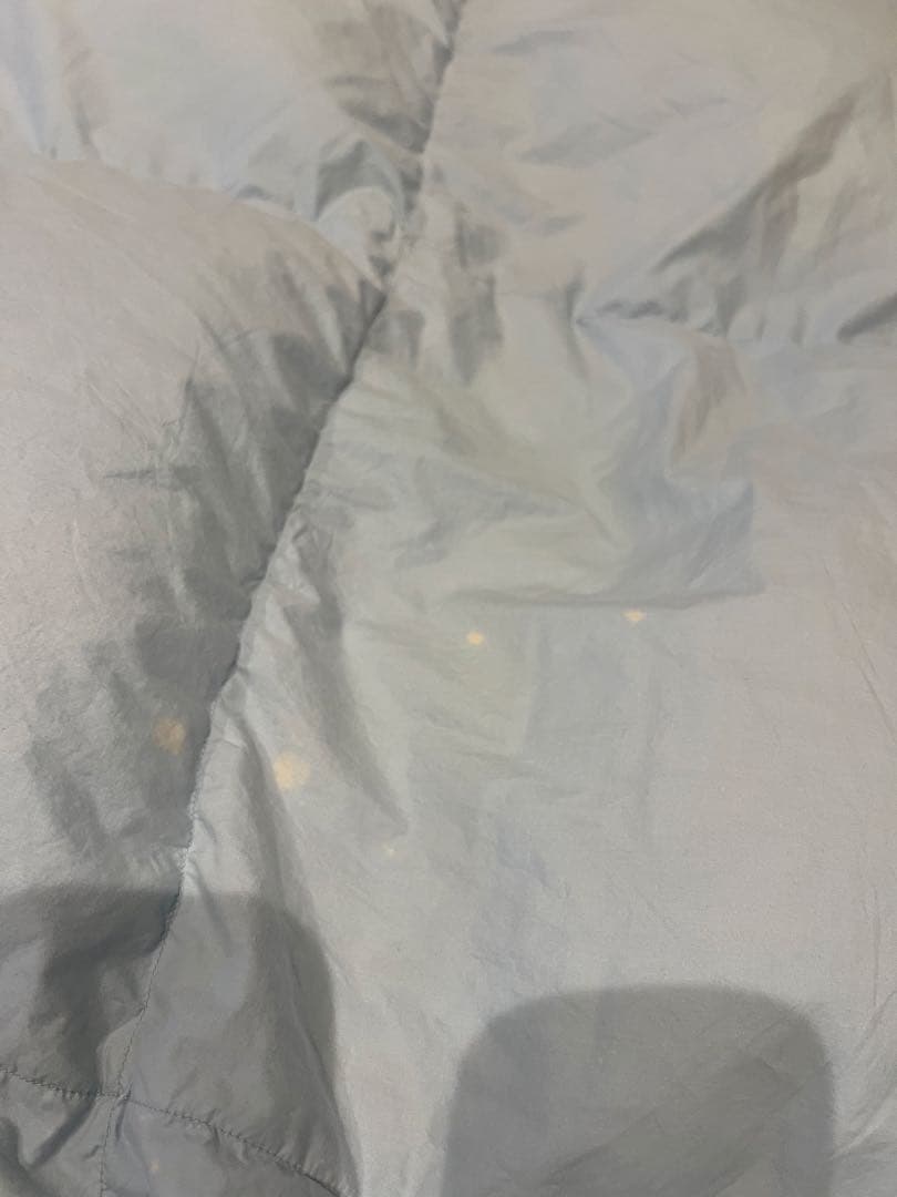 ポーランドグースダウン90% ドイツ製「セダウナ」　シングル 1.1k 軽量