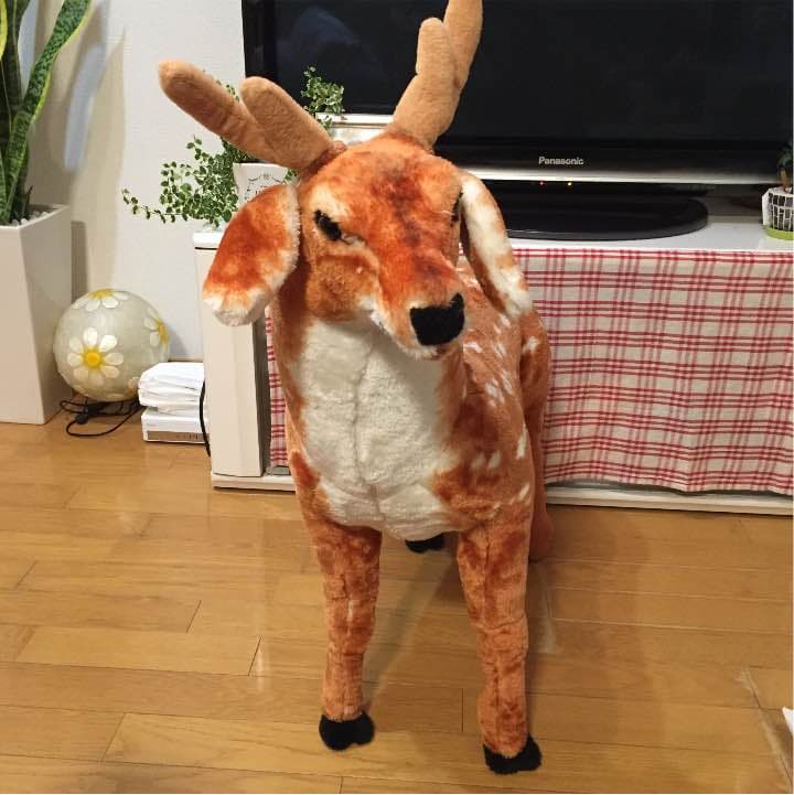 アニマル椅子  ３つセット