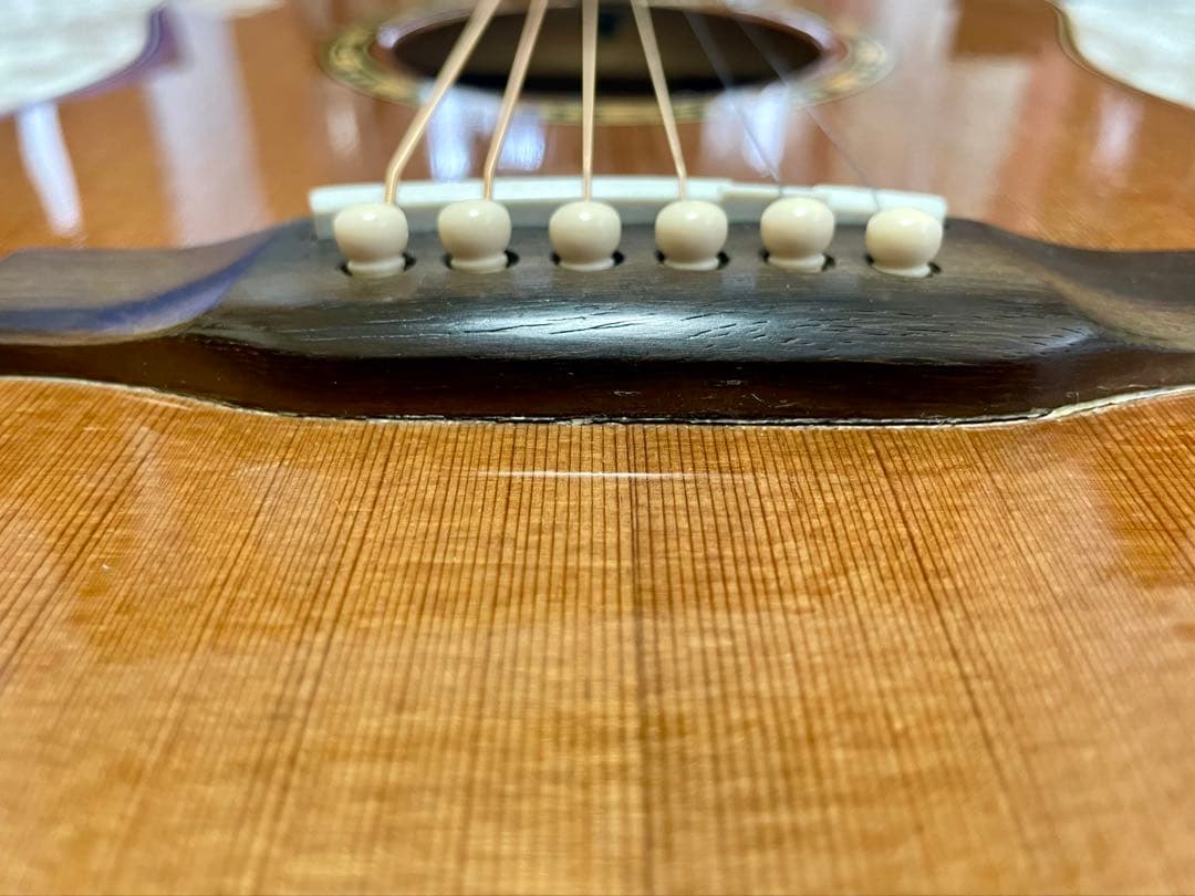 アコースティックギター　ARIA ADL-01 N GOTOHぺグ