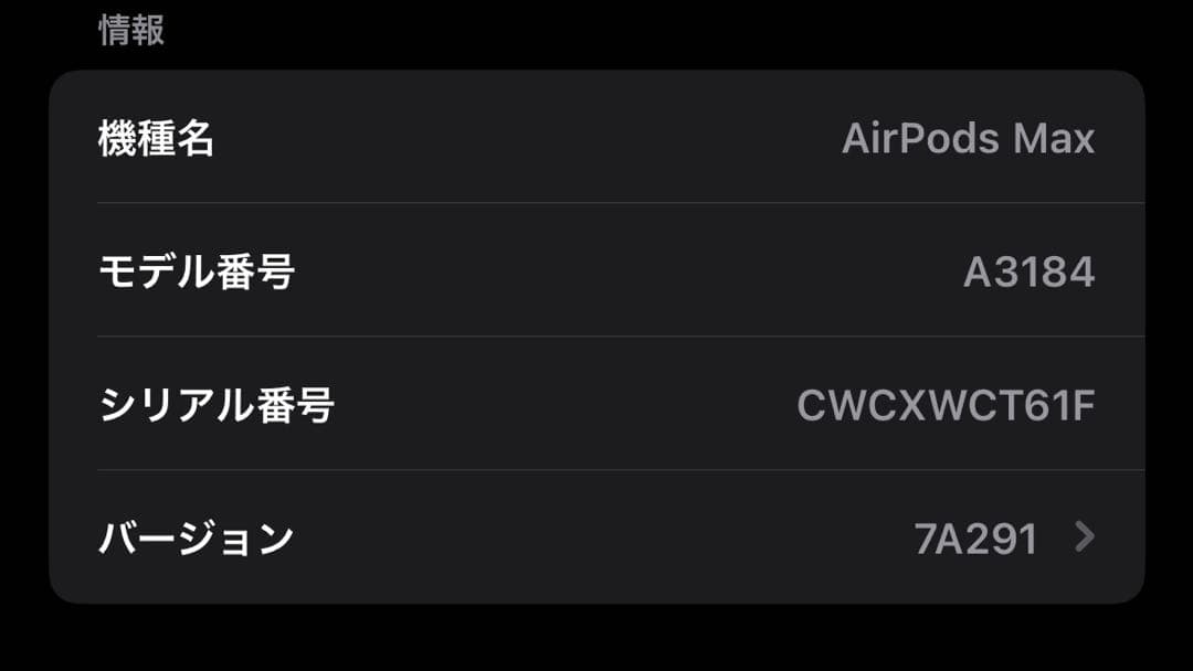 Apple AirPods Max 【USB-C】A3184