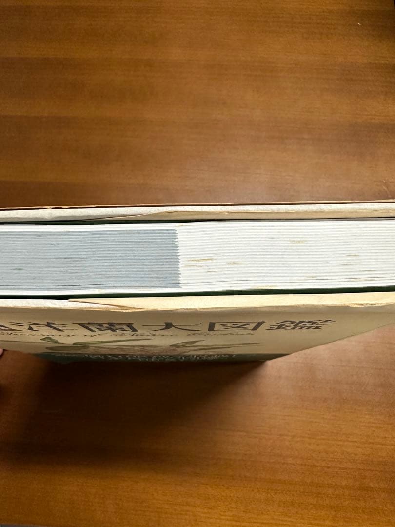 原種洋蘭大図鑑 白石茂 285属1198種収録