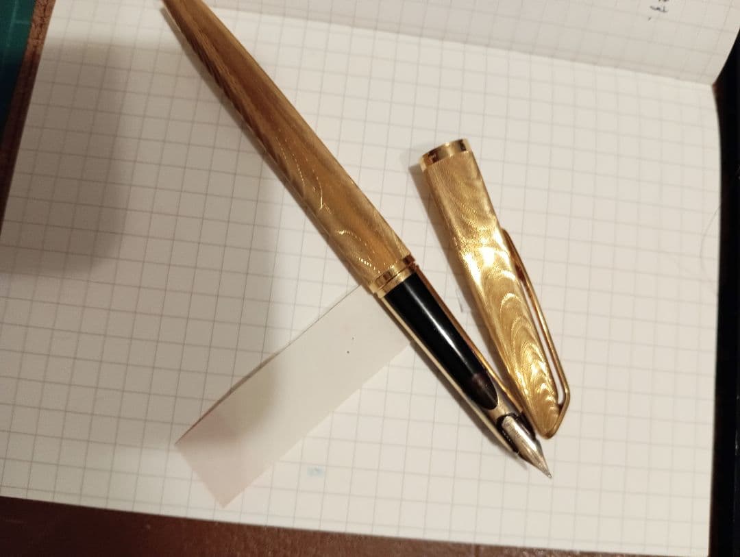 ウォーターマン　cp2　ビンテージのため半ジャンク扱い