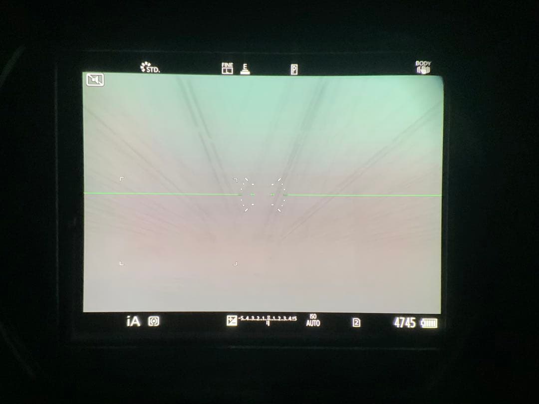 LUMIX S1 【有償アップグレード済】