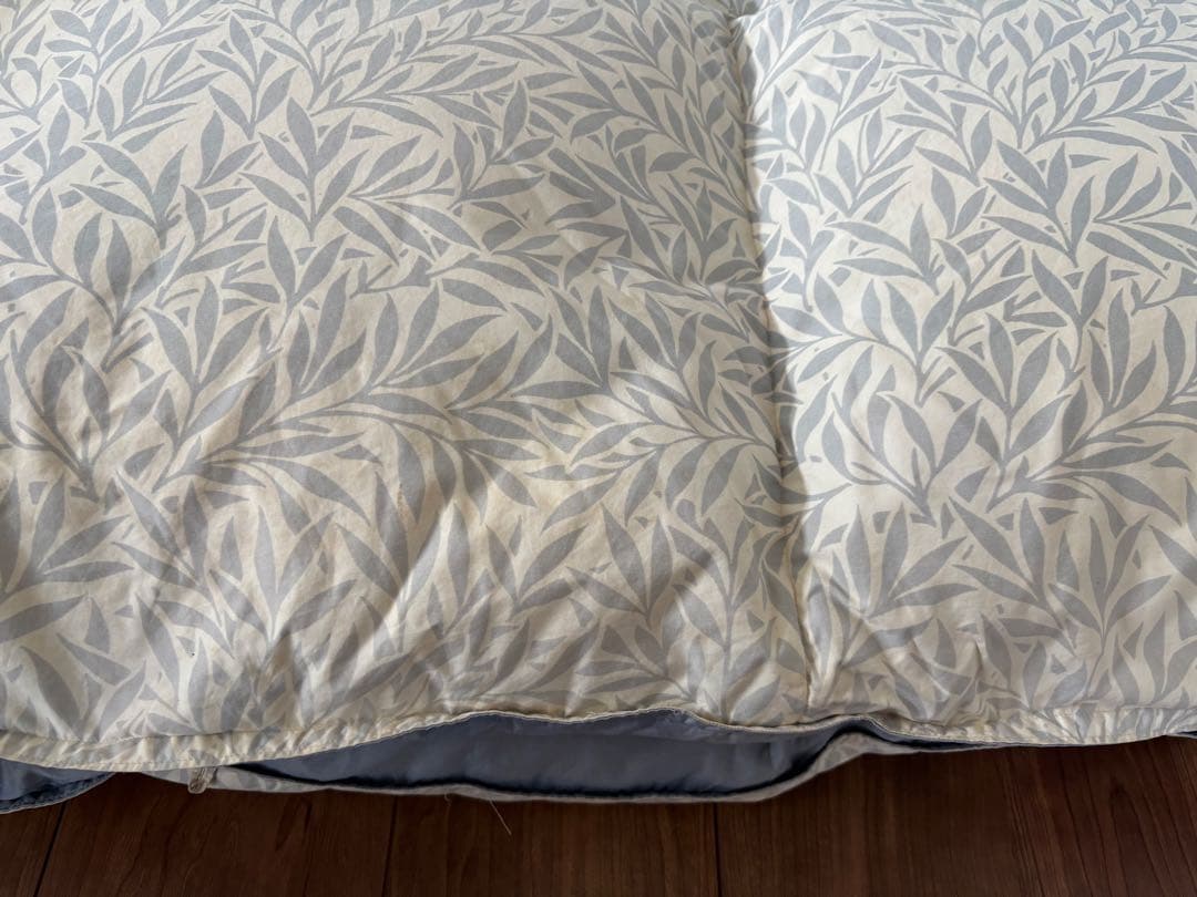 東京西川　高級羽毛 QUEENDOWN Excellent sanderson