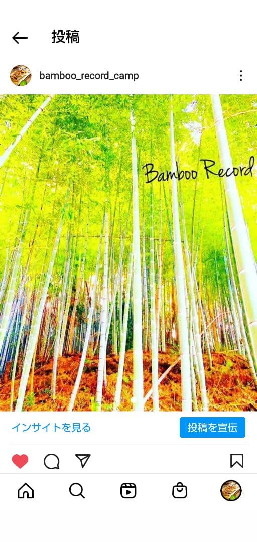 門松の天然竹 6本セット (^.^)