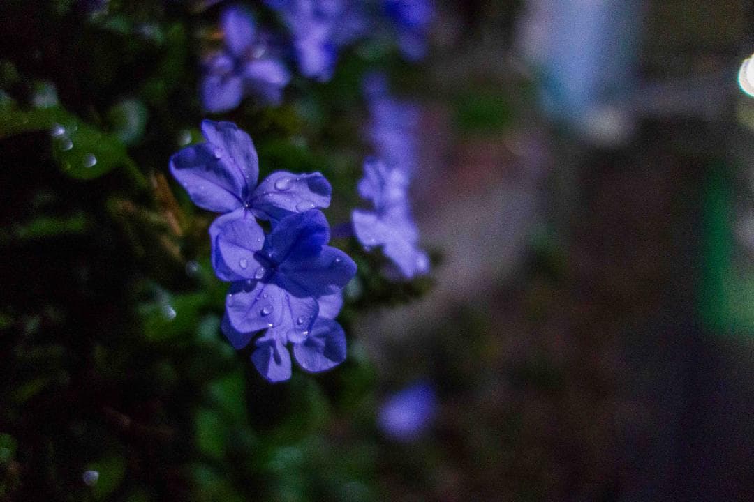 SONY RX100 初代 コンパクトデジタルカメラ 動作良好 本体のみ 傷あり