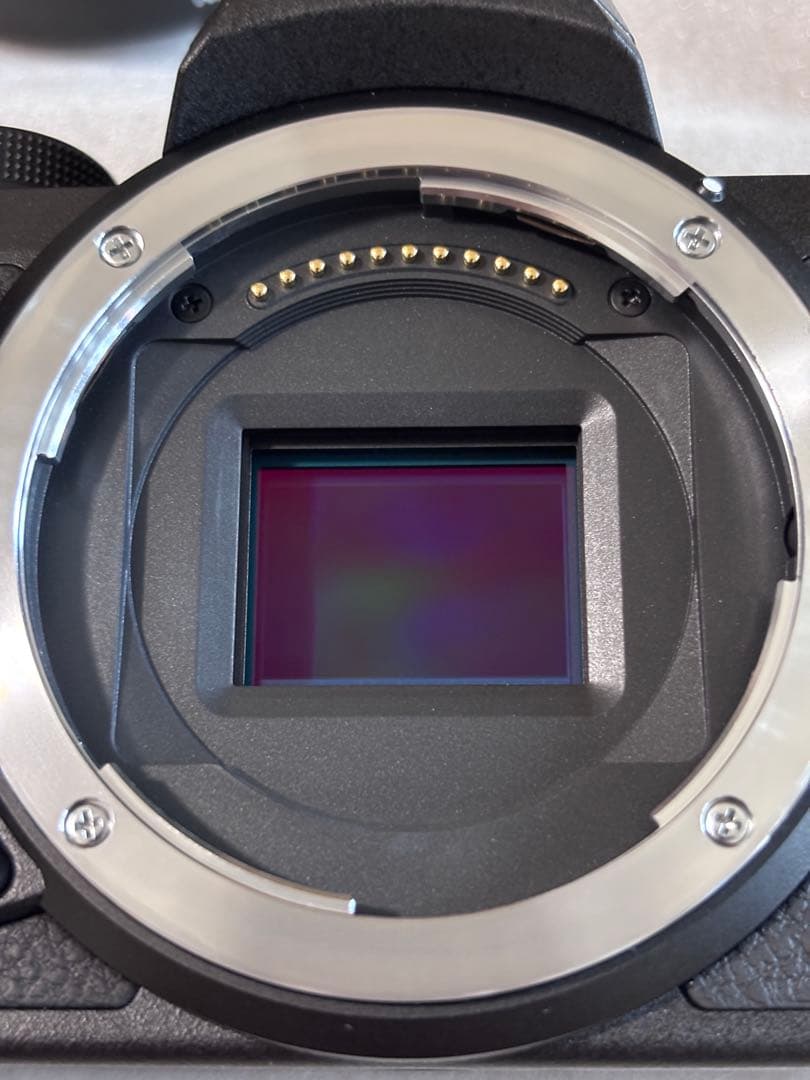 【撮影枚数:295枚】ニコン Z50 16-50 VR レンズキット