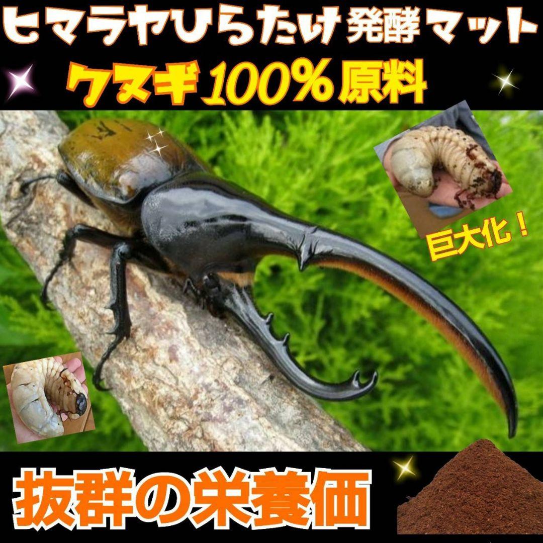 たっぷり100リットル☆カブトムシ幼虫が大きくなる！発酵マット☆雑虫湧きません！
